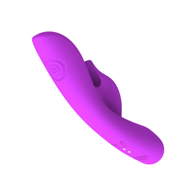 Ζεστό μυστικό επαναφορτιστή Vibrators με διπλή λειτουργία πλευρικής κλήσεις Vegina G Spot Rabbit Vibrator Adult Sex Toy για γυναίκες