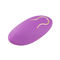 Ιατρικός σιλικόνης δονητής αυγών Bluetooth δομένος αδιάβροχος για τις γυναίκες